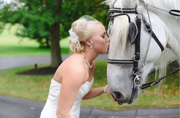 Bride and carriage horse