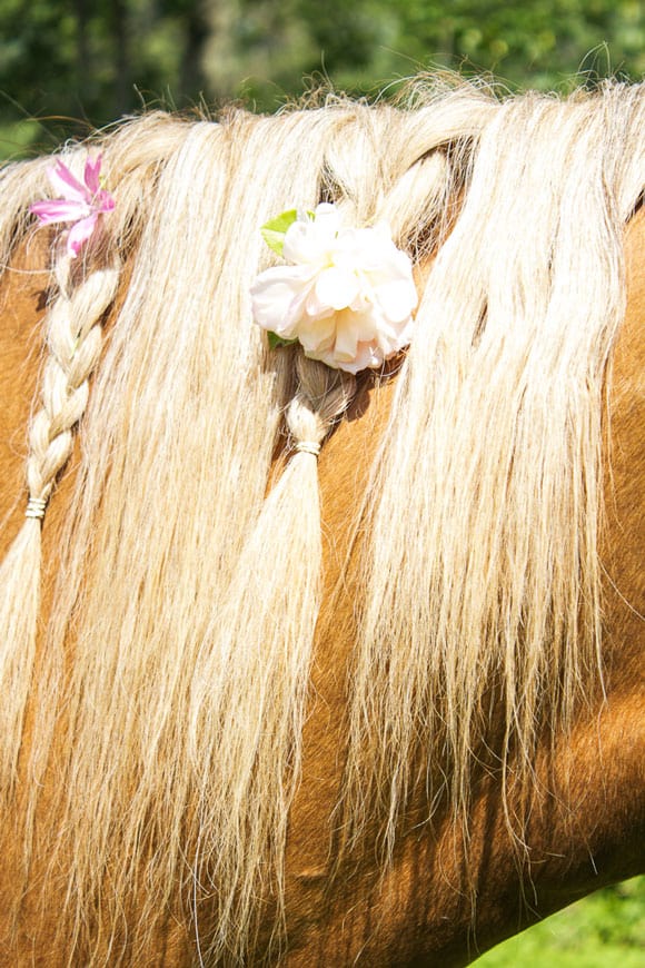 Braided mane with roses