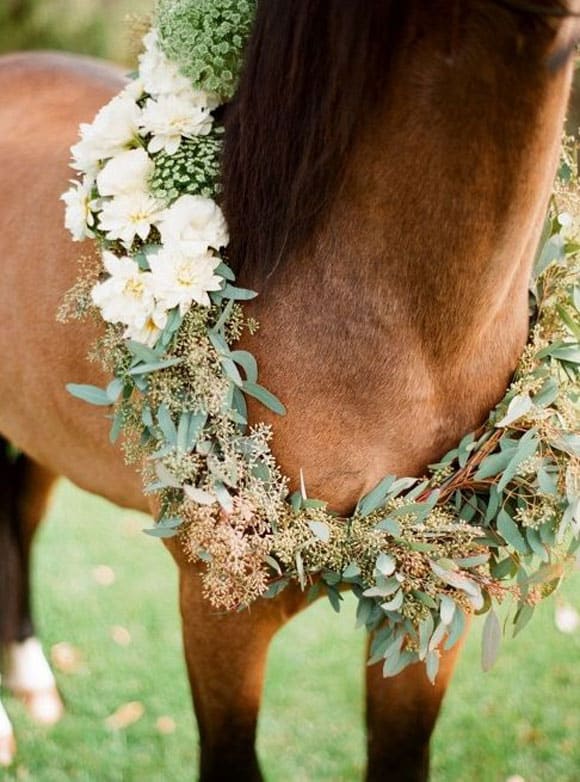 Floral wreath around the horse's neck