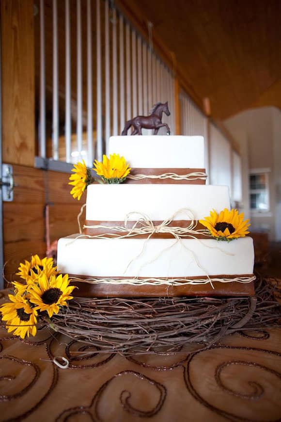 Sunflower and horse cake