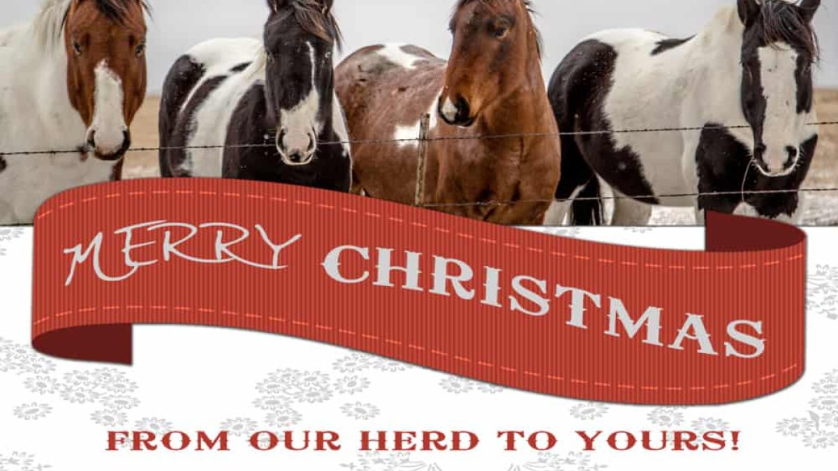 Horse-Christmas-cards