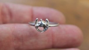 horse-ring