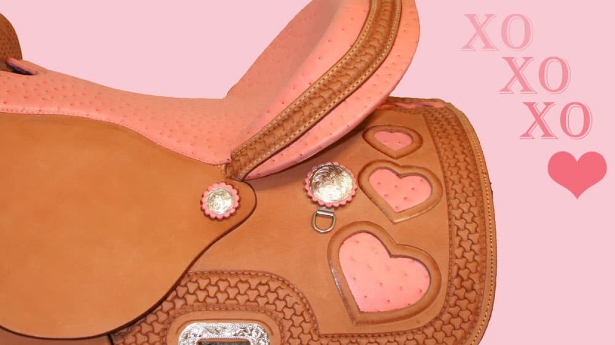 Cowgirl - Pink Saddles