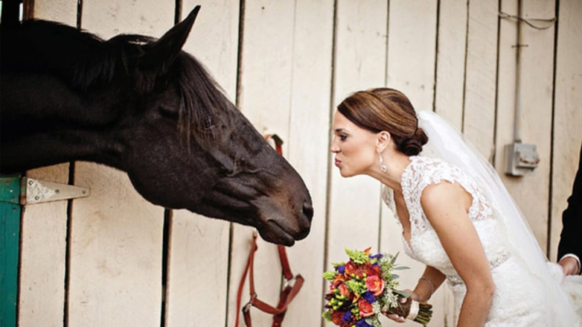equestrian-wedding