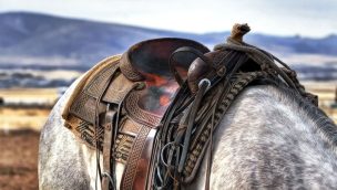 Cowgirl - Saddle