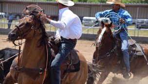 rodeo team roping photography hobby cowgirl magazine