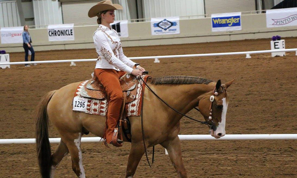 2017 Pinto Horse World Championship Show Cowgirl Magazine
