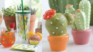 cactus kitchen accessories