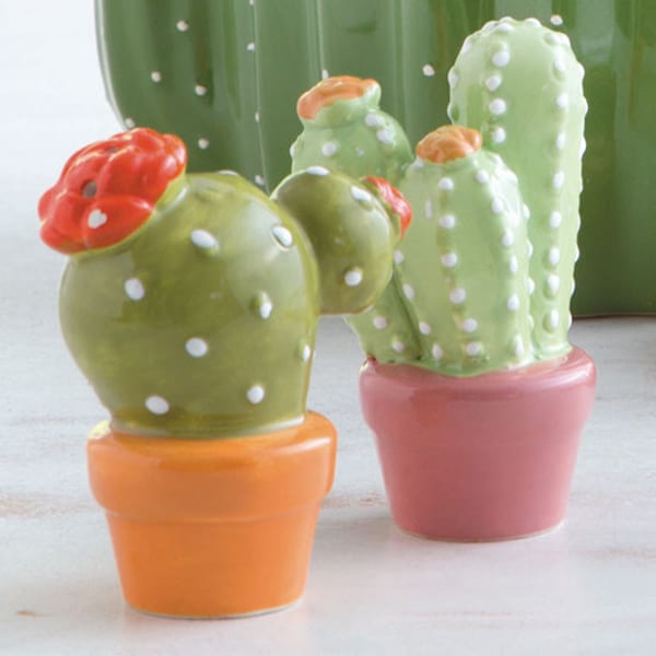 cactus-salt-and-pepper-shaker