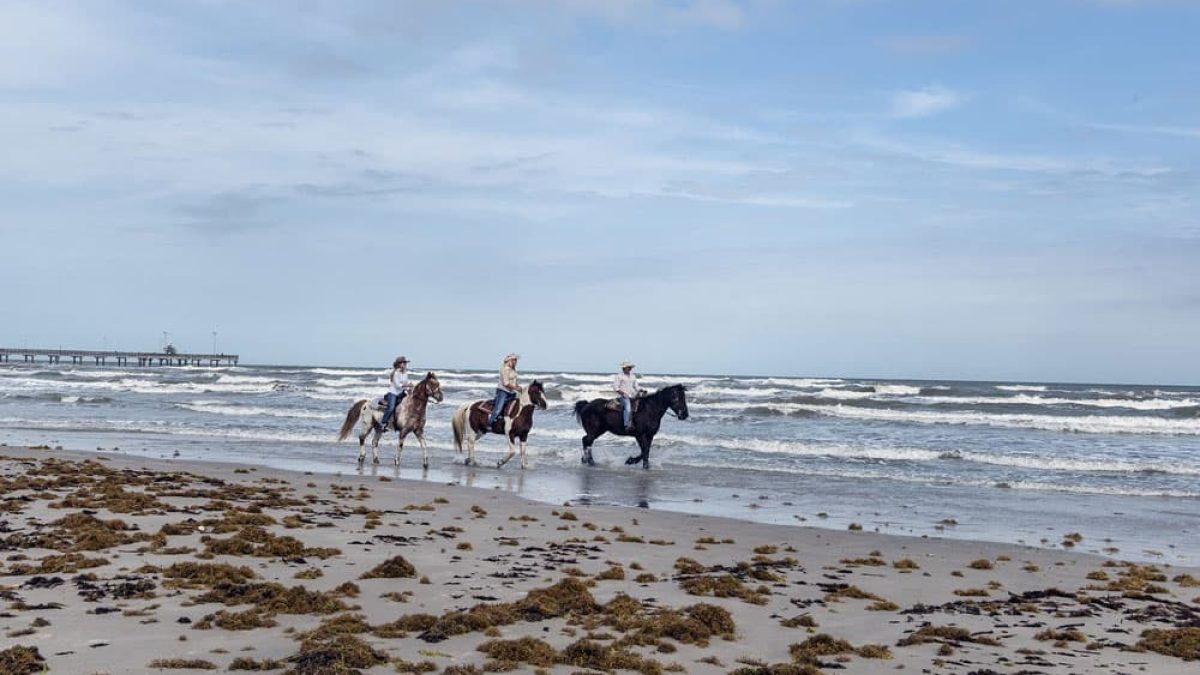 Cowgirl - Beaches