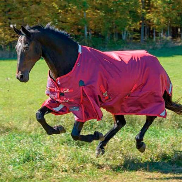 Horse Blankets Colder Months Equine Products Cowgirl Magazine