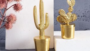 cactus accessories