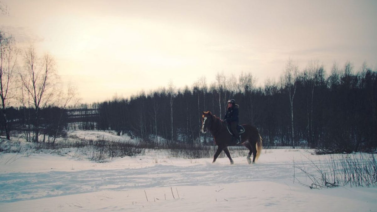 Cowgirl - Winter