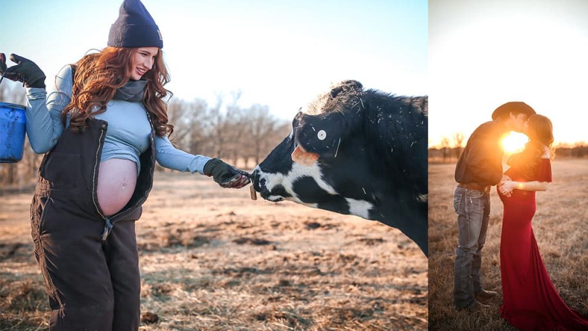 maternity photos photo cow cows cowgirl magazine courtney red green feeding cows