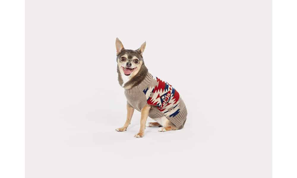 pendleton puppy cowgirl magazine dog dogs puppies 