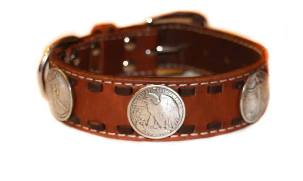 rodeo quincy dog collar cowgirl magazine