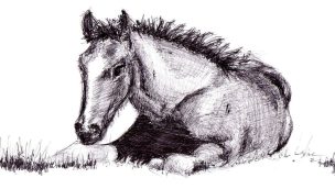 "Cowgirl Magazine" - Draw Horse