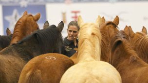 vicki wilson at road to the horse with horses cowgirl magazine