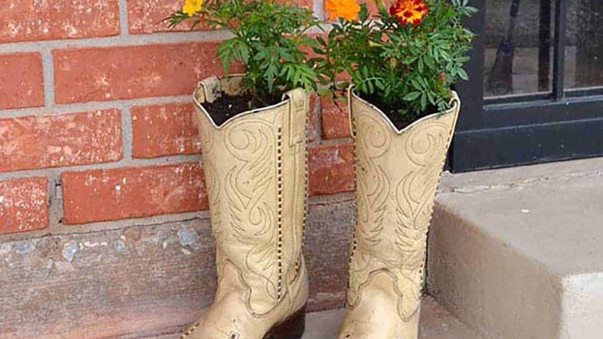 Cowgirl | Cowboy Boot Planter