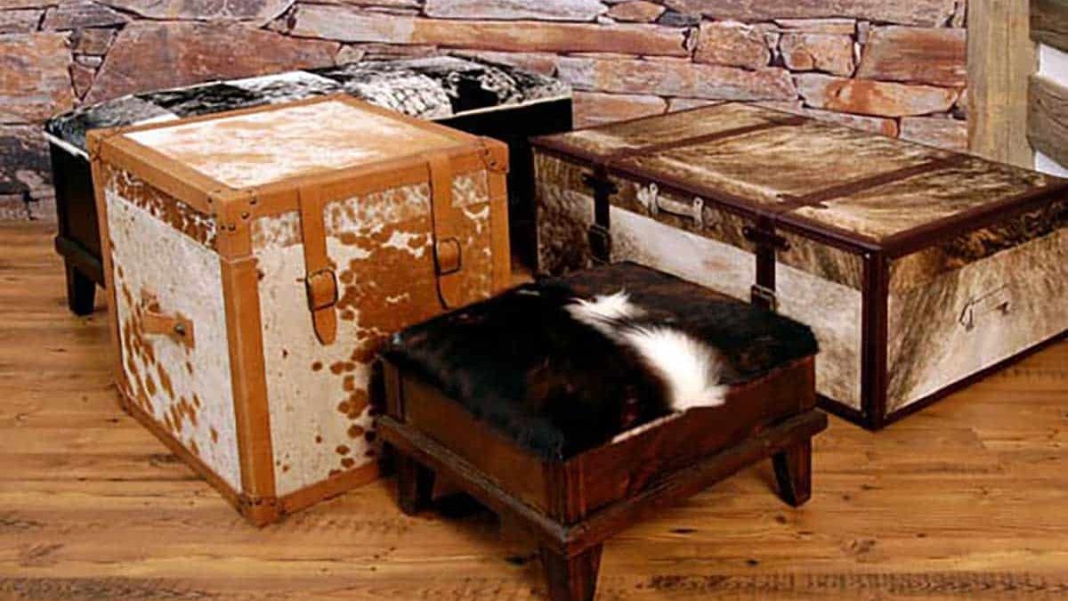 Cowhide-Collection-Storage-Collection