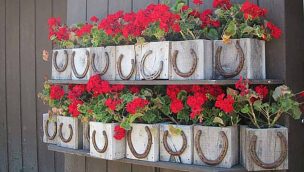 Red-Flowers-Potted-In-Horseshoe-Containers