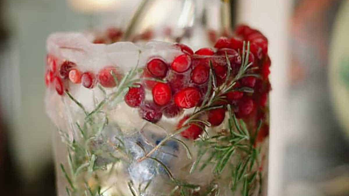 cranberry-ice-bucket