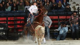 jackie crawford bull stock media wcra triple crown rodeo cowgirl magazine