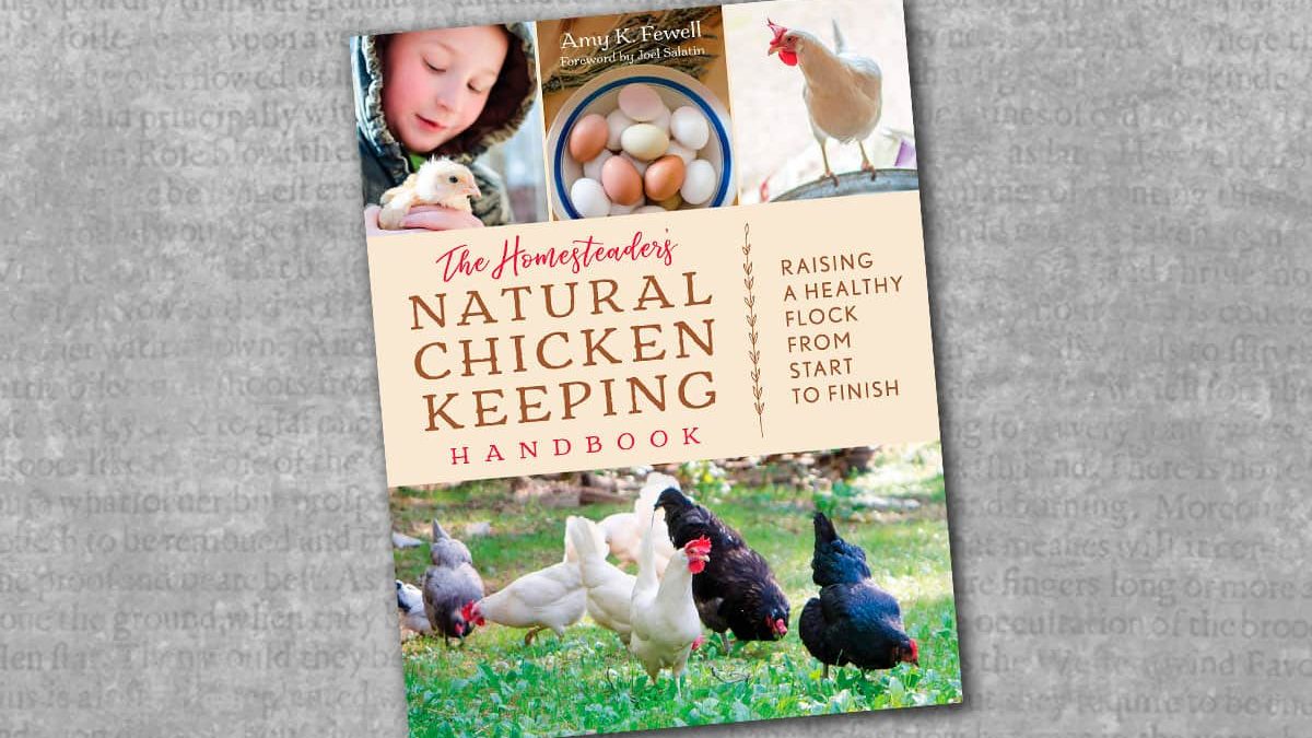 the homesteaders natural chicken keeping handbook raising a healthy flock from start to finish book cover on a gray background cowgirl magazine