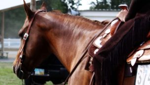 equestrian exercises cowgirl magazine