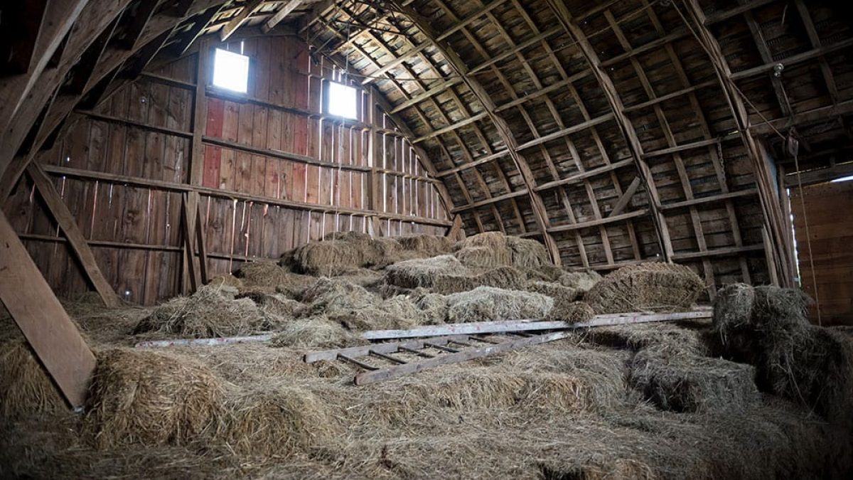 hay in barn cowgirl magazine