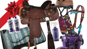 horse gifts cowgirl magazine