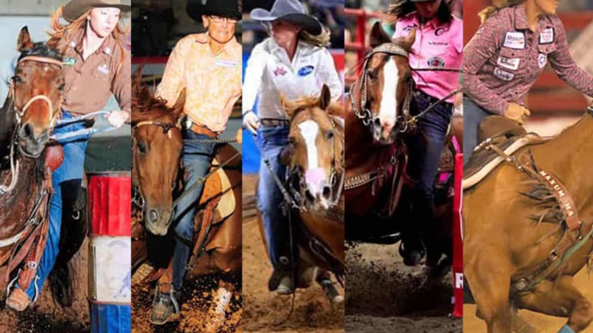 nfr rookie cowgirls