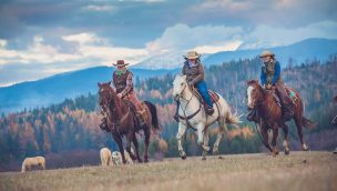 western pleasure guest ranch dude ranch association cowgirl magazine
