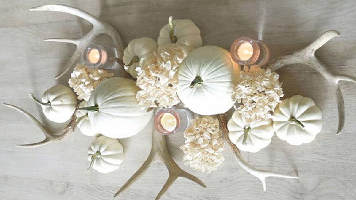 Antlers-and-white-pumpkins