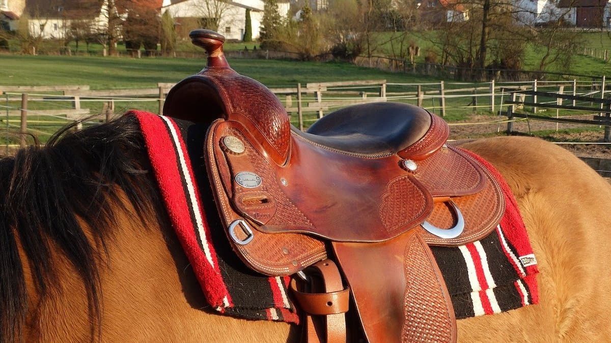 Saddle Fitting Template
