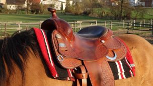 Saddle Fitting Template