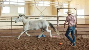 the resort at paws up cowgirl magazine