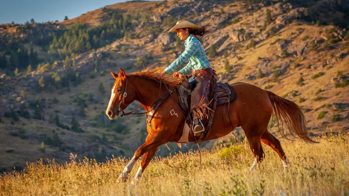diamond ranch horse sale cowgirl magazine