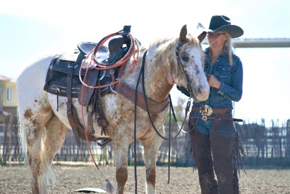 meet the horses of diamond-mcnabb cowgirl magazine
