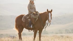jive horse cowgirl magazine