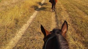 grass trail ride cowgirl magazine