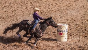 barrel horse cowgirl magazine