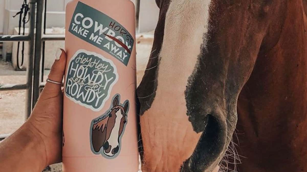 western horse stickers cowgirl magazine