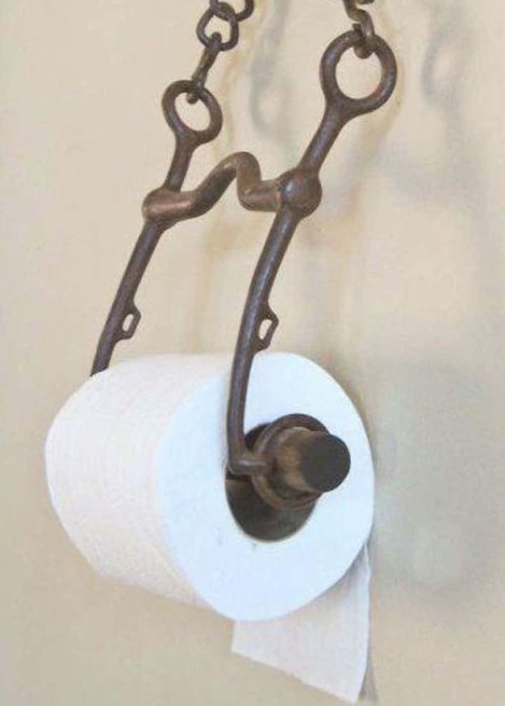 horse bit toilet paper holder cowgirl magazine