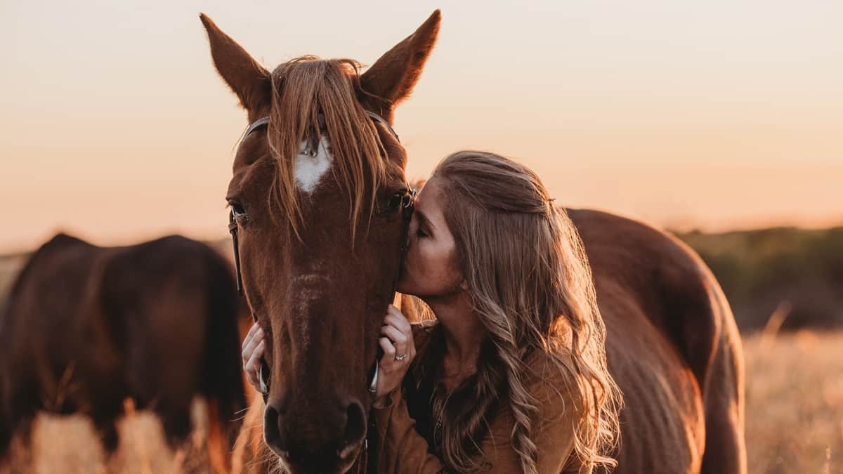 rescue horse goodbye photoshoot cowgirl magazine