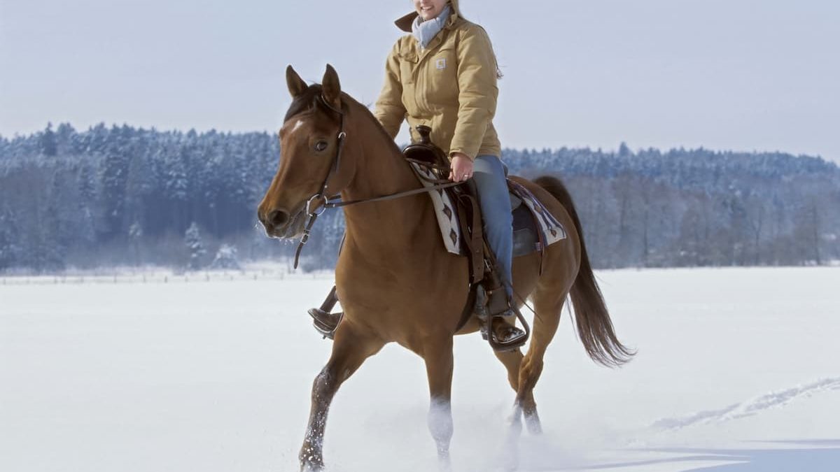 winter riding cowgirl magazine