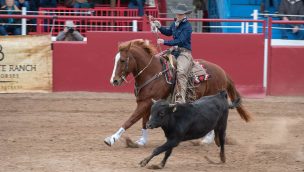 womens ranch rodeo