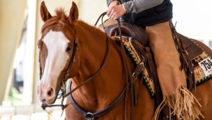 The Great American Ranch and Trail Horse Sale