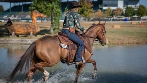 Career change thoroughbred style cowgirl magazine