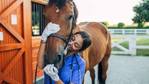 Moving your horse to college cowgirl magazine